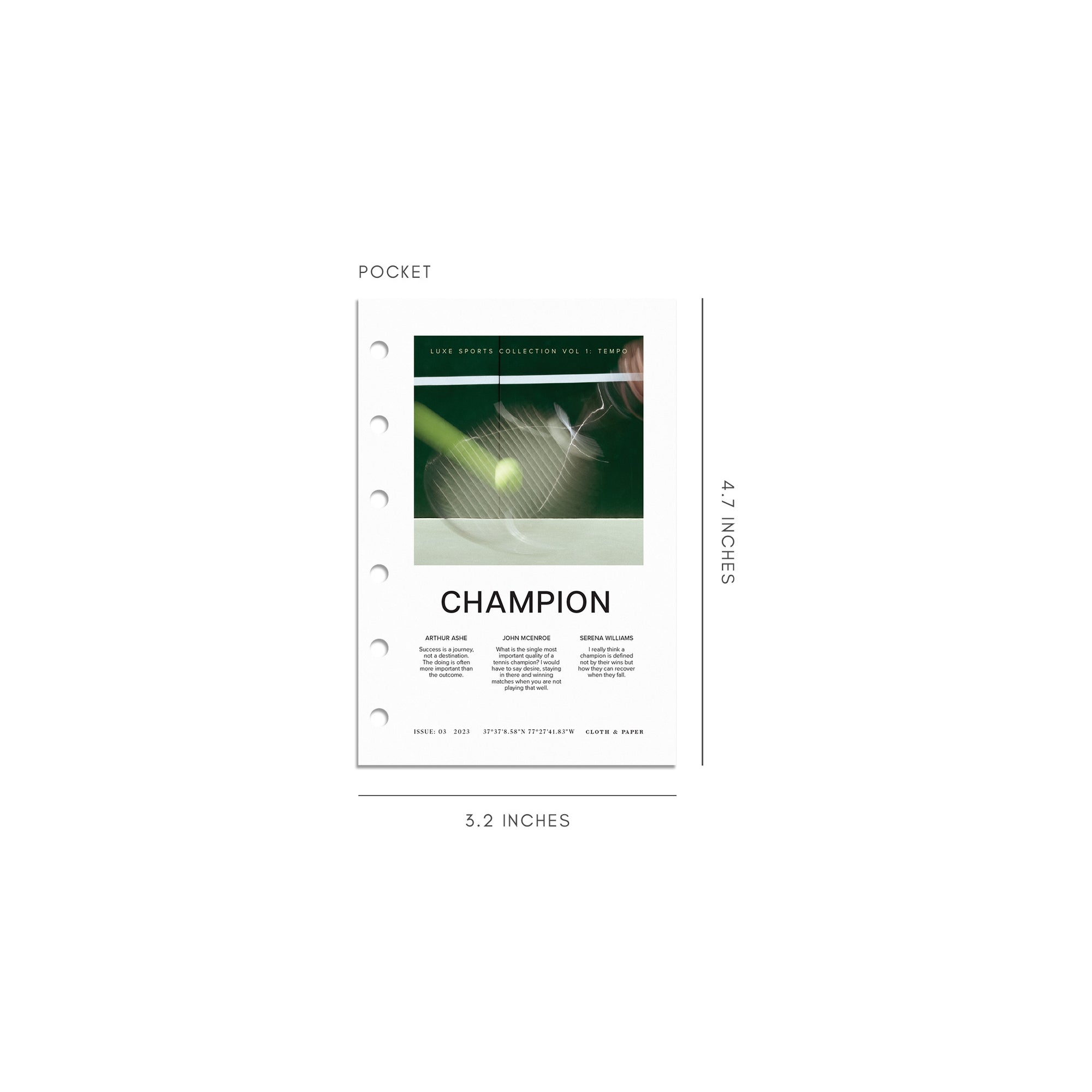 Digital mockup of Champion dashboard in Pocket. 