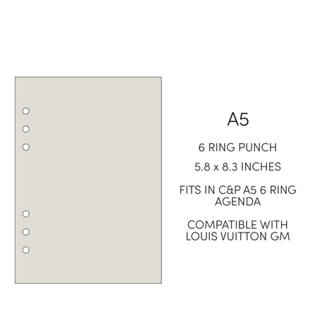 FITS Louis Vuitton GM Large Agenda Tabbed Gold 2023 Refill Insert Paper+ Calendar
